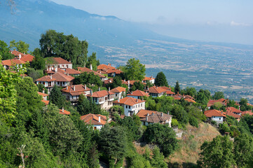 Obraz premium Springtime landscape showing the stone houses of traditional architecture in the village of Palaios Panteleiomonas in northern Greece