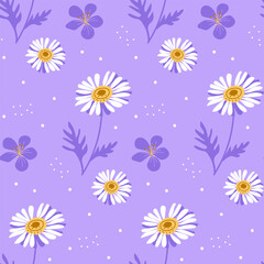 Seamless pattern of white daisies and lilac flowers. Vector illustration on a lilac background for decor and wrapping paper