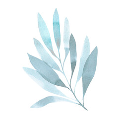 Hand drawn watercolor blue leaves. Isolated on white. Can be used for cards, patterns, invitations, label.
