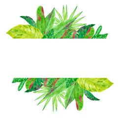 Hand drawn watercolor green tropical leaves boarder frame isolated on white background. Can be used for post card, label, banner design.