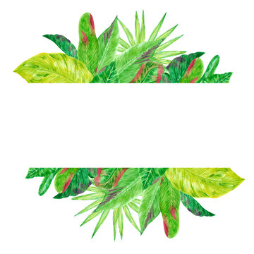 Hand drawn watercolor green tropical leaves boarder frame isolated on white background. Can be used for post card, label, banner design.