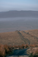 hills in a misty morning
