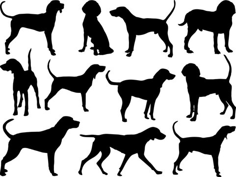 Set of Treeing Walker Coonhound Dog Silhouette