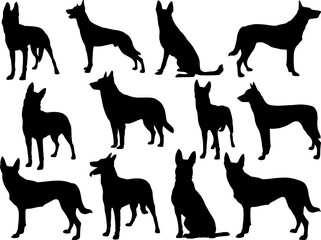 Set of Belgian Malinois Dog Silhouette