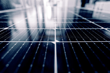 A close up photo of solar panels showing fine details and light reflections.
