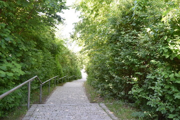 footpath in the park