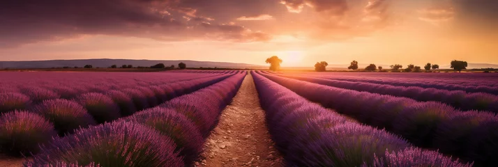 Tuinposter Purple lavender field in Provence at sunset, Lavender Stunning summer landscape in Provence, France with blooming violet fields, Generative AI © NE97