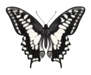 Foto auf Acrylglas Schmetterlinge im Grunge butterfly isolated halftone dot yellow swallowtail cut-out collage element in retro magazine style pop art grunge texture