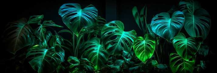 Dark green tropical leaves colorful neon light, backlight, leaves composition, plant background, manstera, palm leaves, Generative AI
