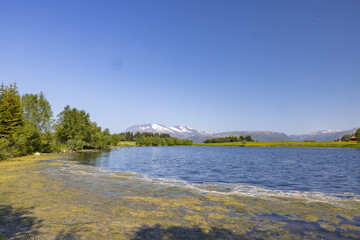 Hiking in Velfjord deep forest by the sea, Helgeland, Nordland county, Norway