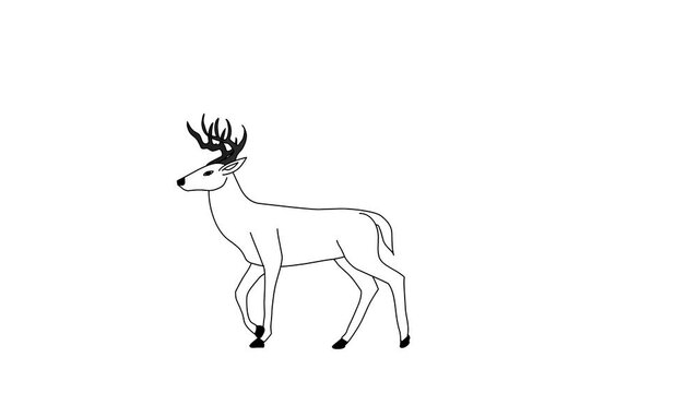 2d Hand Drawn Animation, Deer Animal Is Running On Isolated White Background