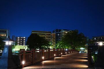 Fototapeta premium Night City View of Kagoshima and Nansyu-bashi Bridge in Kagoshima, Japan - 日本 鹿児島 街並み 南洲橋 夜景
