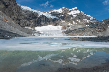 The Fellaria Glacier and its lake