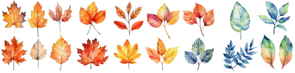 Fototapeta na wymiar Watercolor leaves and branches, fall leaves illustration transparent background, PNG ,Generative AI