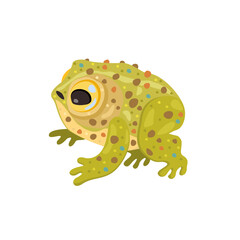Frog. Vector cute isolated illustration of reptile.