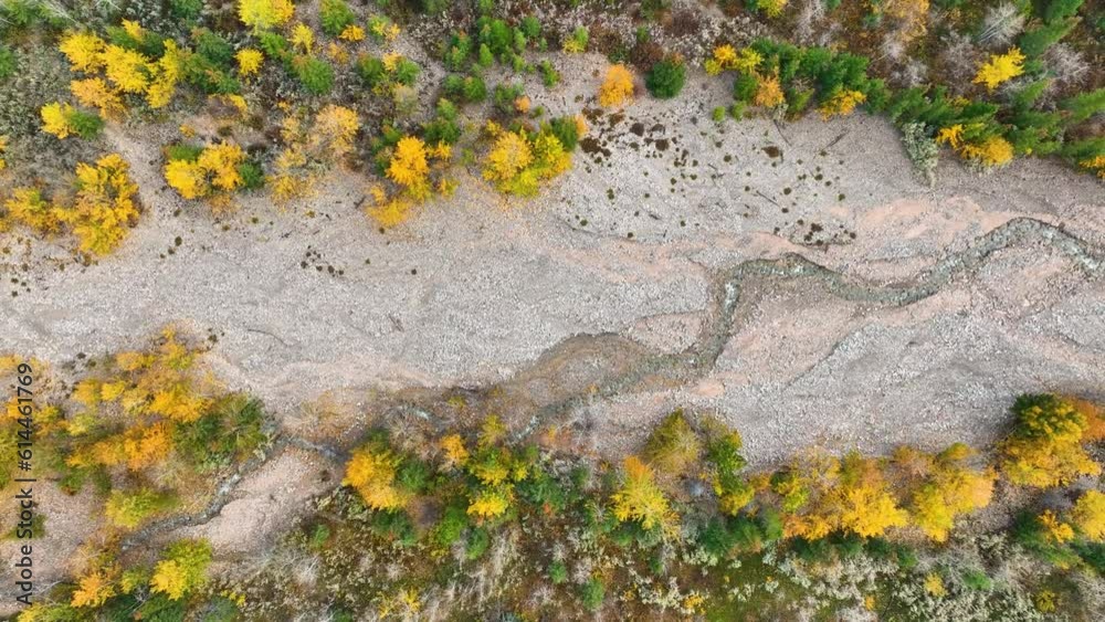 Wall mural a drone view of the river in the mountains valley. an aerial view of an forest and river. winding ri