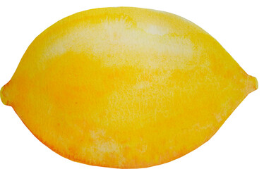 Lemon hand drawn in watercolor on a white background.