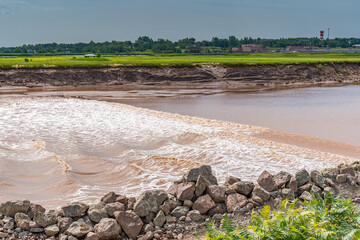 Tidal Bore Waves