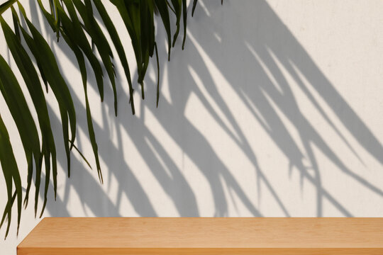 Background for an object product, soft shadows from plants