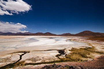 Salar del Carmen nell'altopiano andino di Atacama Cile