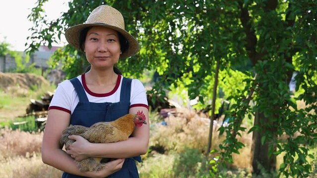 Smiling happy, young Asian woman holding chicken in her hand at the farm. 