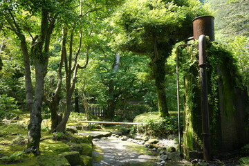 Traditional Japanese Garden, Senganen Garden Park in Kagoshima, Japan - 日本 鹿児島 仙巌園...