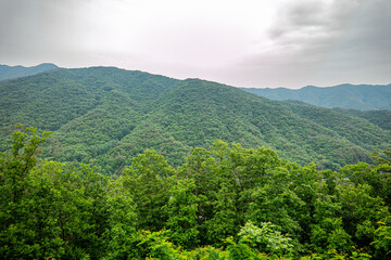 Fototapeta premium landscape with clouds