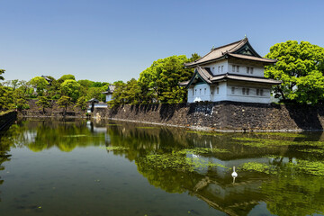 Fototapeta na wymiar Imperial Palace castle surround by pond, Tokyo, Japan