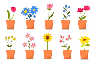 set of cute flower and flower pot . vector element