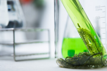 Researchers are developing alternative fuels for a more sustainable future, biofuels as an alternative to reduce pollution contributing to global warming, biotechnology and eco-energy concepts.