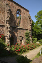 Naklejka premium klosterhof rosenthal, kirchenruine