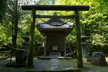 Torii of Oniwa-jinja or Shrine at Senganen Garden Park in Kagoshima, Japan - 日本 鹿児島 仙巌園 日本庭園 御庭神社 鳥居