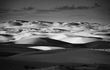Fototapeta na wymiar landscape with dunes