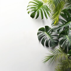 Fototapeta na wymiar Tropical leaves shadow with wall for luxury beauty fashion product display background 3D. Generative ai.