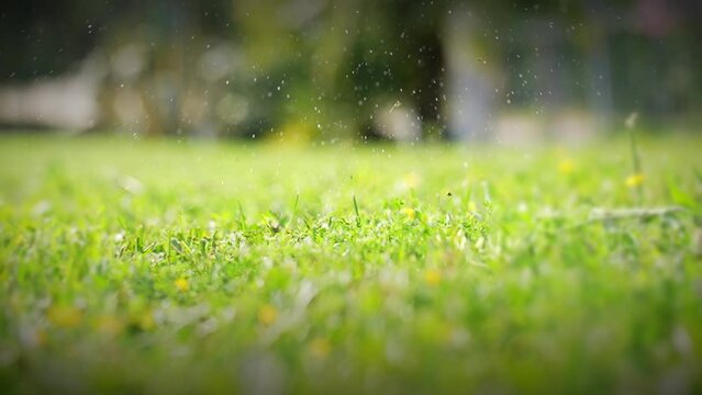 Super slow motion closeup of a vintage black and white soccer ball bouncing on the meadow with splashes of dew.