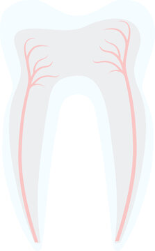 Tooth structure decoration design treatment stomatology