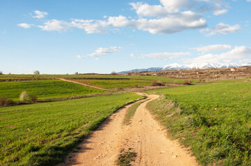 Country landscape, green fields, dirt road in southern Bulgaria, spring