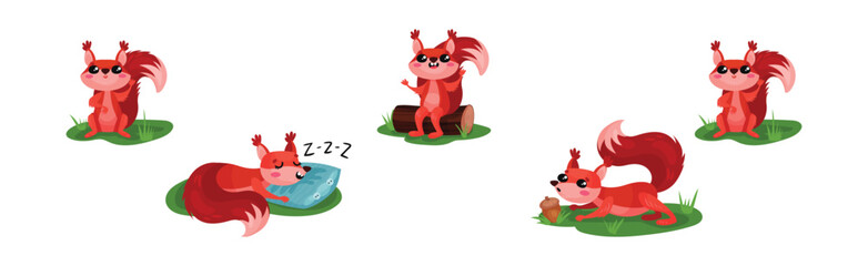 Cute Red Squirrel Character with Bushy Tail Engaged in Different Activity Vector Set