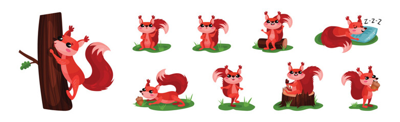 Cute Red Squirrel Character with Bushy Tail Engaged in Different Activity Vector Set