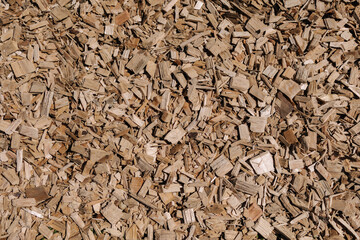 Wood shavings on the ground. Top view of sawdust buried in the park. Textures