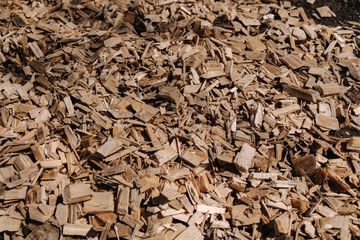 Wood shavings on the ground. Top view of sawdust buried in the park. Textures