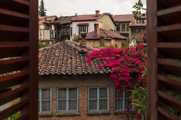 Fototapeta na wymiar Old city view from window with small houses, tiled roofs, flowering trees, Antalya, Turkey