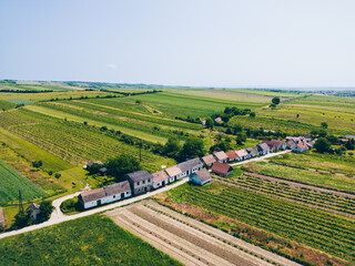 Vine cellars of Pillichsdorf in the Lower Austria region
