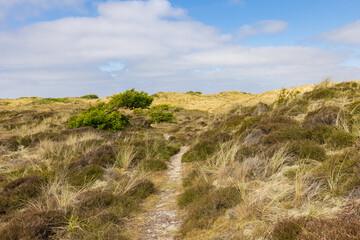 Dunes landscape near Formerum at Wadden island Terschelling in Friesland province in The Netherlands