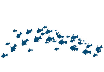 sea ​​beach sea animals hello summer