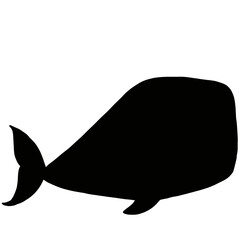 Whale