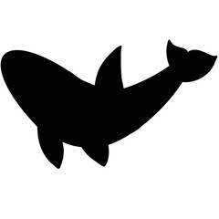 Dolphin 