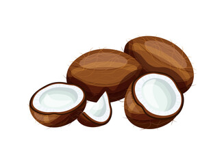 Delicious coconuts isolated on white background. Vector illustration of delicious whole and half coconuts in cartoon style. Coconut icon. Healthy, organic fruit. Exotic fruit.