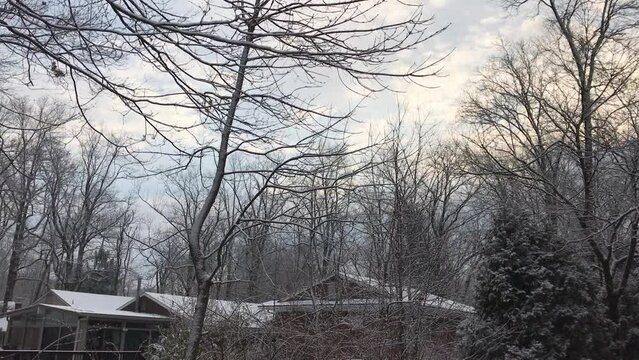 trees covered with light snow in the backyard in the end of winter afternoon