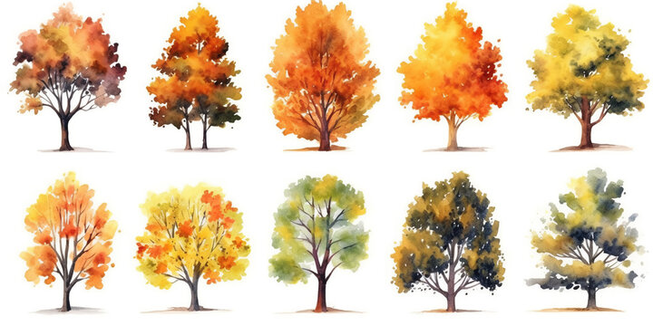 Set of watercolor autumn trees on a white background. ai generative